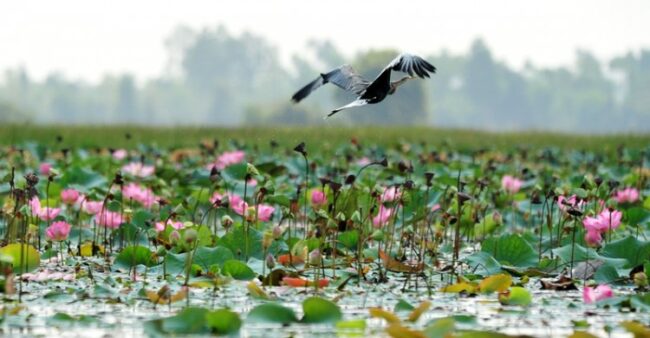 dịch vụ chuyển nhà đi đồng tháp