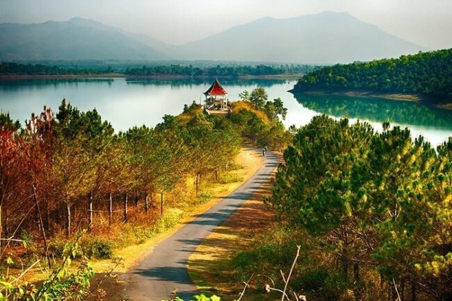 dịch vụ chuyển nhà gia lai