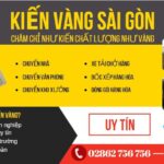 Chuyển nhà trọn gói kiến vàng