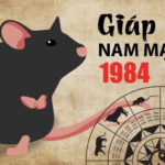 Hướng dẫn xem ngày chuyển nhà tuổi 1984 Giáp Tý chính xác nhất