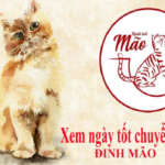 Xem lịch vạn niên để chọn ngày chuyển nhà