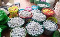 Chuyên cung cấp bóng tập golf cho các sân