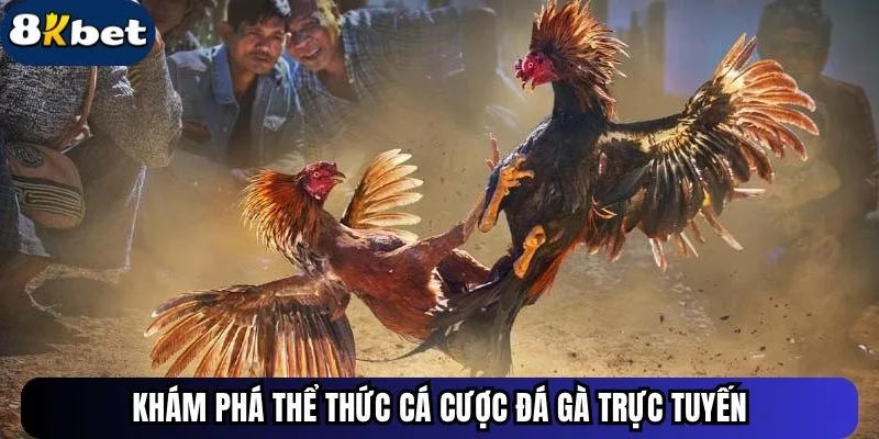 Khám phá thể thức cá cược đá gà trực tuyến