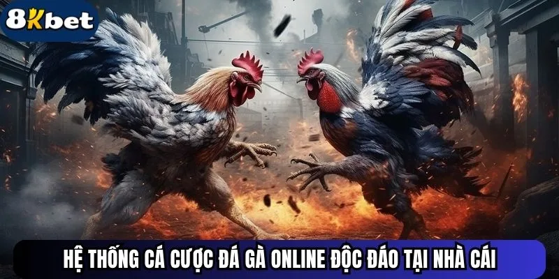 Hệ thống cá cược đá gà online độc đáo tại nhà cái