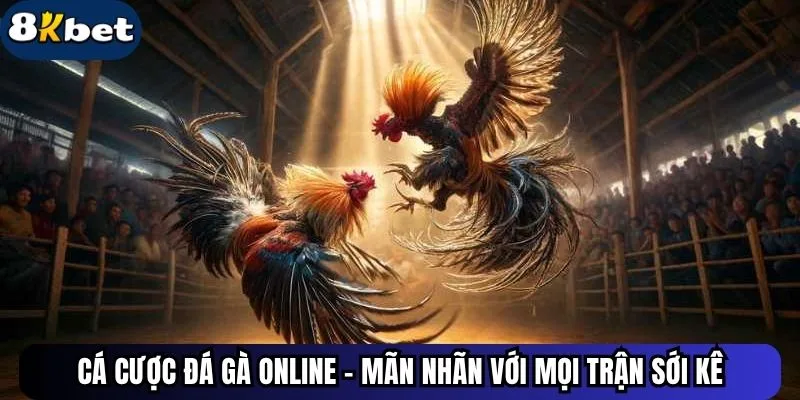 Cá Cược Đá Gà Online - Mãn Nhãn Với Mọi Trận Sới Kê