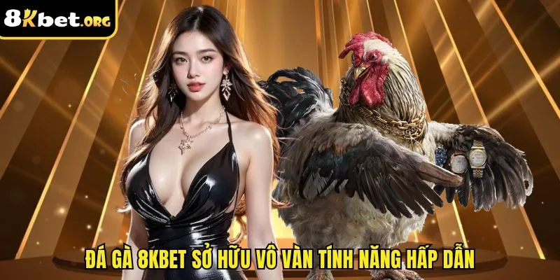 Đá gà ku88 sở hữu vô vàn tính năng hấp dẫn