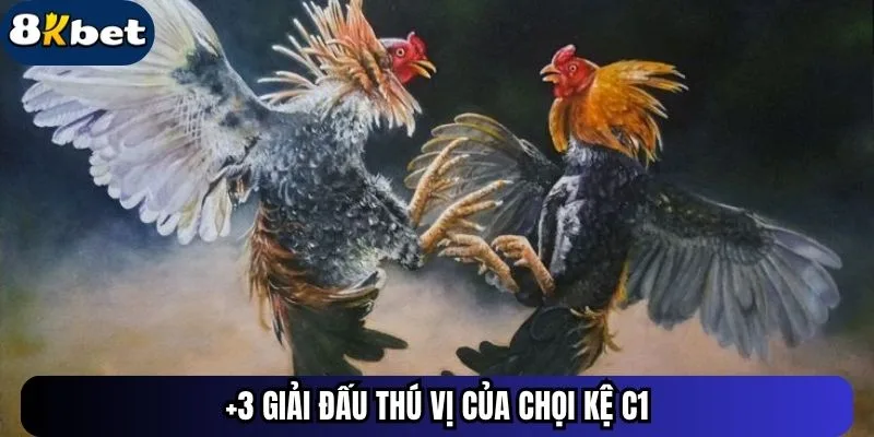 +3 giải đấu thú vị của chọi kệ C1