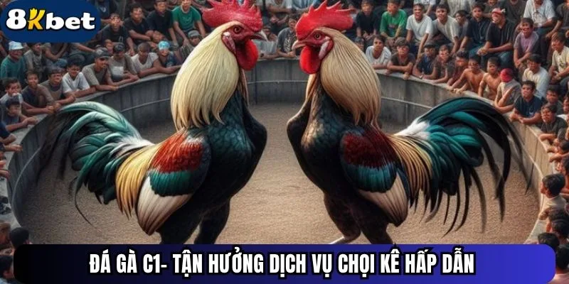 Đá gà C1 - Tận hưởng dịch vụ chọi kê hấp dẫn&nbsp;