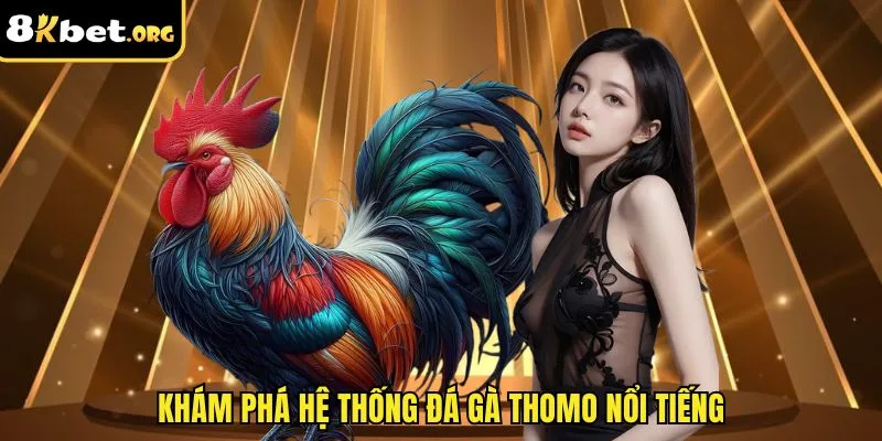 Khám phá hệ thống đá gà thomo nổi tiếng