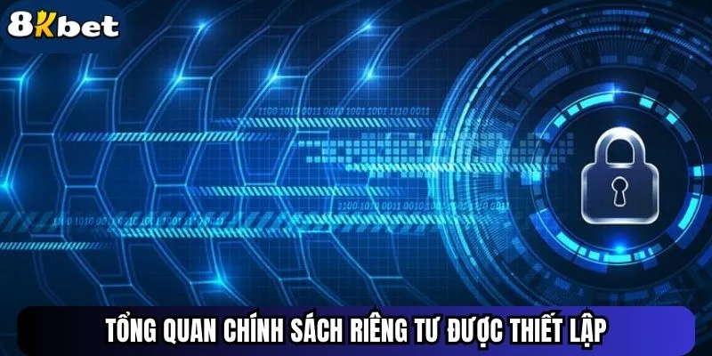 Tổng quan chính sách riêng tư được thiết lập
