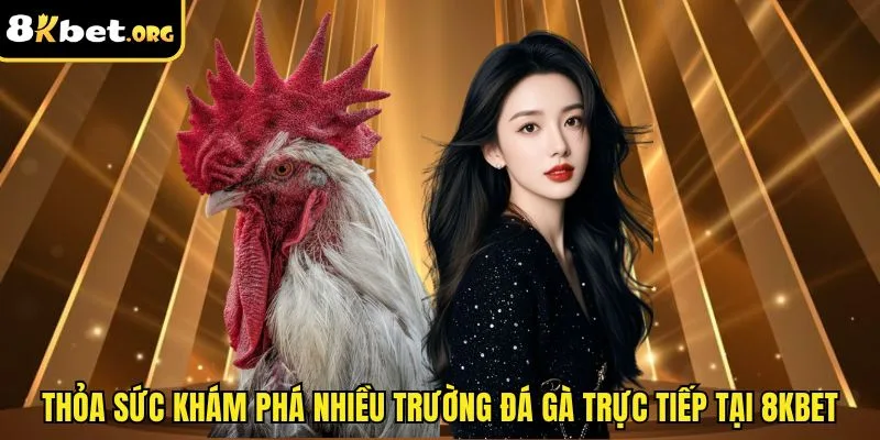 Thỏa sức khám phá nhiều trường đá gà trực tiếp tại ku88