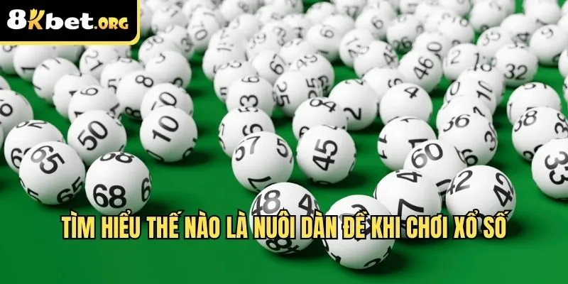 Tìm hiểu thế nào là nuôi dàn đề khi chơi xổ số