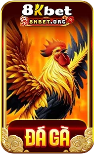 Đá gà ku88